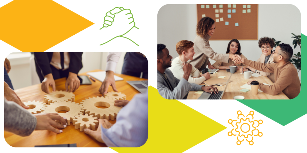 8. Collaborate with Accessibility Experts and Organizations