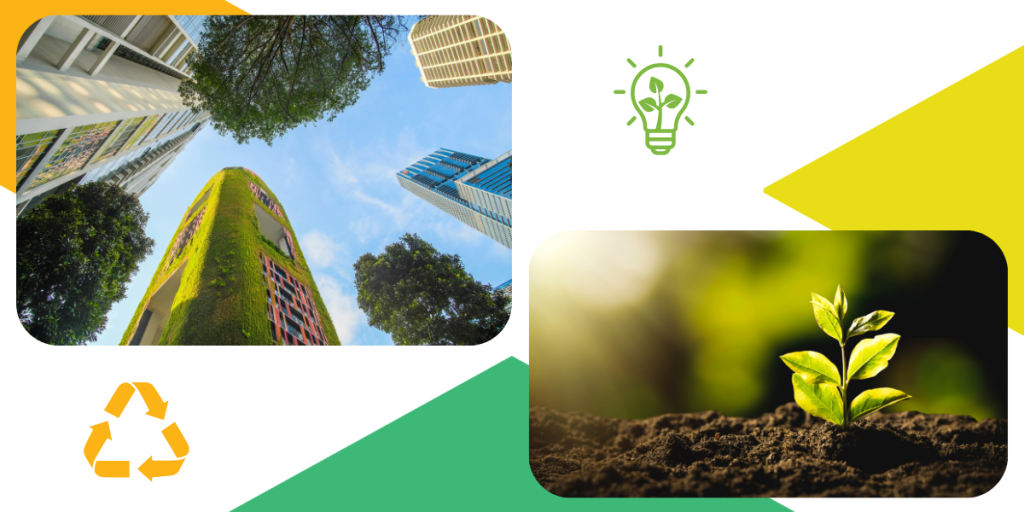 Sustainability and Ethics in Retail