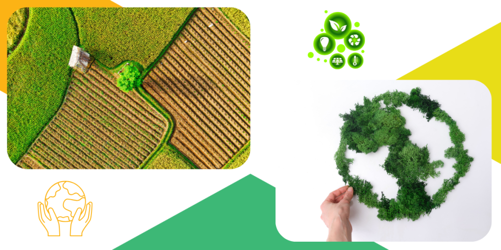 Tools and Platforms to Support Sustainability Reporting